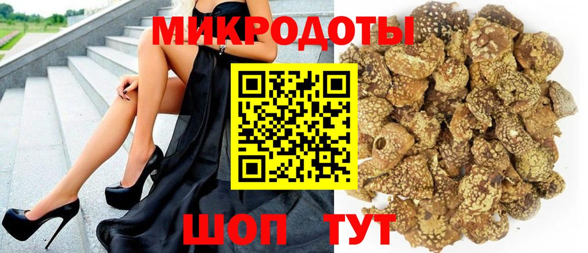 Псилоцибиновые грибы GOLDEN TEACHER Элиста